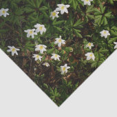 森の白い春の花 薄葉紙 (詳細)