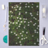 森の白い春の花 薄葉紙 (クラフト)