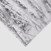 森の白樺の木 黒と白 薄葉紙 (詳細)