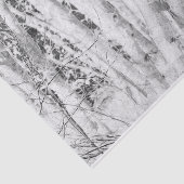 森の白黒樺の木 薄葉紙 (詳細)