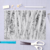 森の白黒樺の木 薄葉紙 (クラフト)