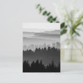森の白黒風景写真 ポストカード (スタンド正面)