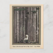 森の真ん中に一人でケイ・ニールセン ポストカード (正面)