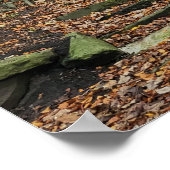 森の石段 ポスター (角)