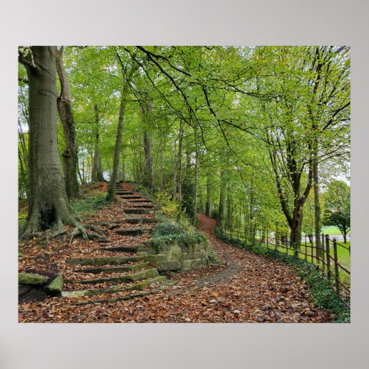 森の石段 ポスター (正面)