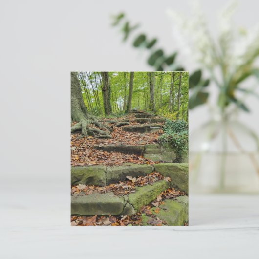 森の石段 ポストカード (スタンド正面)