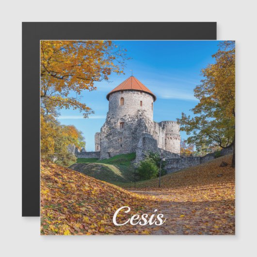 森の磁石に囲まれた中世の城 (正面/裏面)