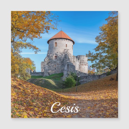 森の磁石に囲まれた中世の城 (正面)