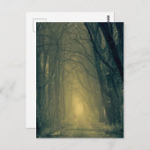 森の神秘的な黄色い光 ポストカード (正面/裏面)