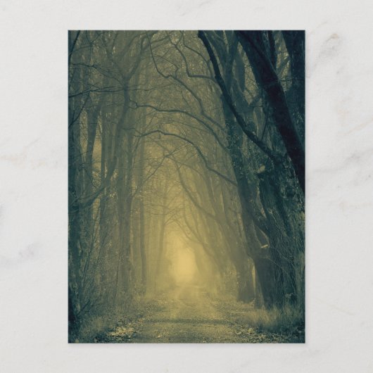 森の神秘的な黄色い光 ポストカード (正面)