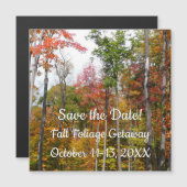 森の秋の写真カラフル秋 (正面/裏面)