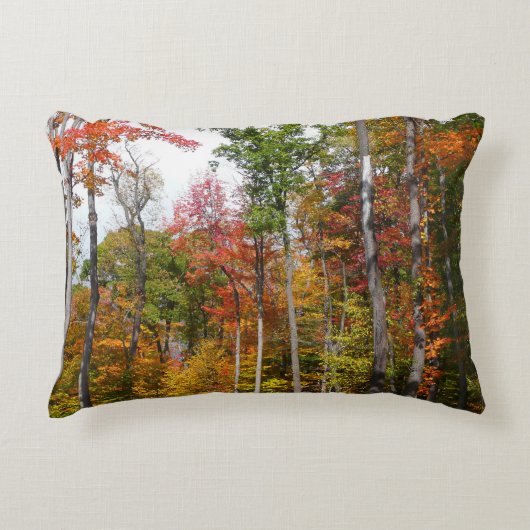 森の秋の写真カラフル秋 アクセントクッション (正面)