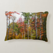 森の秋の写真カラフル秋 アクセントクッション (裏面)