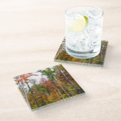 森の秋の写真カラフル秋 ガラスコースター (アングル)