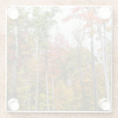 森の秋の写真カラフル秋 ガラスコースター (裏面)