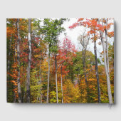 森の秋の写真カラフル秋 ゲストブック (裏面)