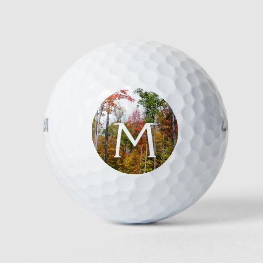 森の秋の写真カラフル秋 ゴルフボール (正面)