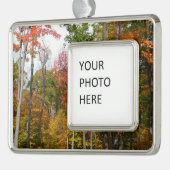 森の秋の写真カラフル秋 シルバープレートフレームオーナメント (左)
