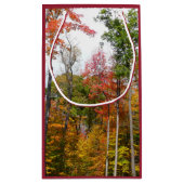 森の秋の写真カラフル秋 スモールペーパーバッグ (裏面)