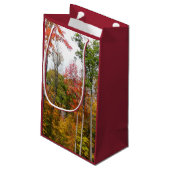 森の秋の写真カラフル秋 スモールペーパーバッグ (裏面アングル)