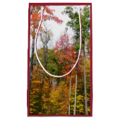 森の秋の写真カラフル秋 スモールペーパーバッグ (正面)