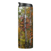 森の秋の写真カラフル秋 タンブラー (回転右)