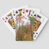 森の秋の写真カラフル秋 トランプ (裏面)