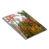 森の秋の写真カラフル秋 ノートブック (右側)