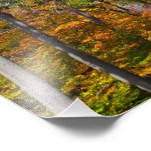 森の秋の写真カラフル秋 フォトプリント            (角)