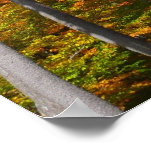 森の秋の写真カラフル秋 ポスター (角)