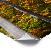 森の秋の写真カラフル秋 ポスター (コーナー)