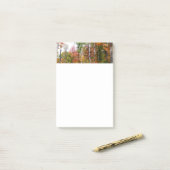 森の秋の写真カラフル秋 ポストイット (デスク上)