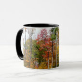 森の秋の写真カラフル秋 マグカップ (正面左)
