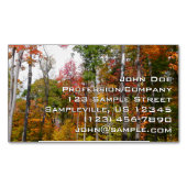 森の秋の写真カラフル秋 マグネット名刺 (正面)