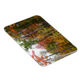 森の秋の写真カラフル秋 マグネット (右側)