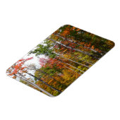 森の秋の写真カラフル秋 マグネット (左側)