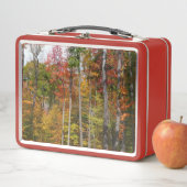 森の秋の写真カラフル秋 メタルランチボックス (インサイチュ)