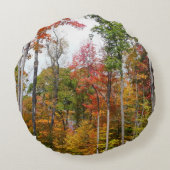 森の秋の写真カラフル秋 ラウンドクッション (裏面)
