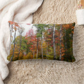 森の秋の写真カラフル秋 ランバークッション (ブランケット)