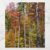 森の秋の写真カラフル秋 ワインラベル (シングルラベル)