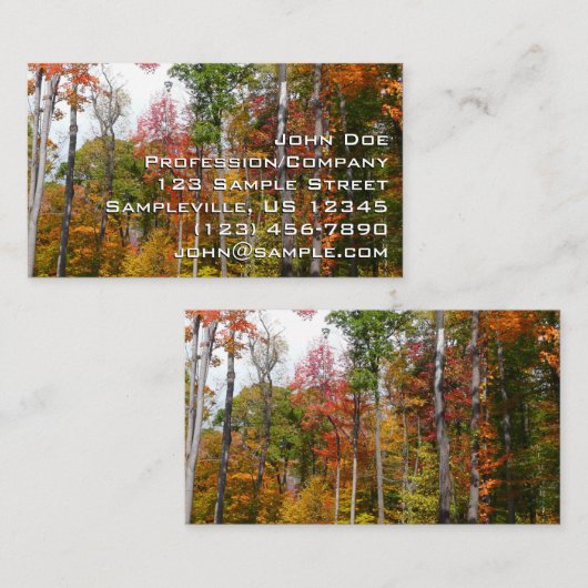 森の秋の写真カラフル秋 名刺 (正面/裏面)