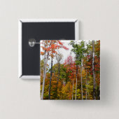 森の秋の写真カラフル秋 缶バッジ (正面&裏面)
