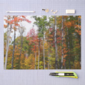 森の秋の写真カラフル秋 薄葉紙 (クラフト)