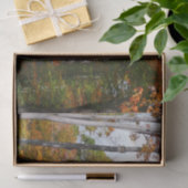 森の秋の写真カラフル秋 薄葉紙 (ギフト)