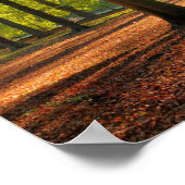 森の秋の日 ポスター (角)