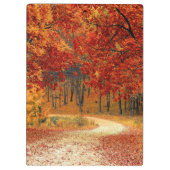 森の秋 クリップボード (裏面)