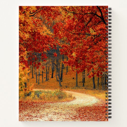 森の秋 ノートブック (裏面)