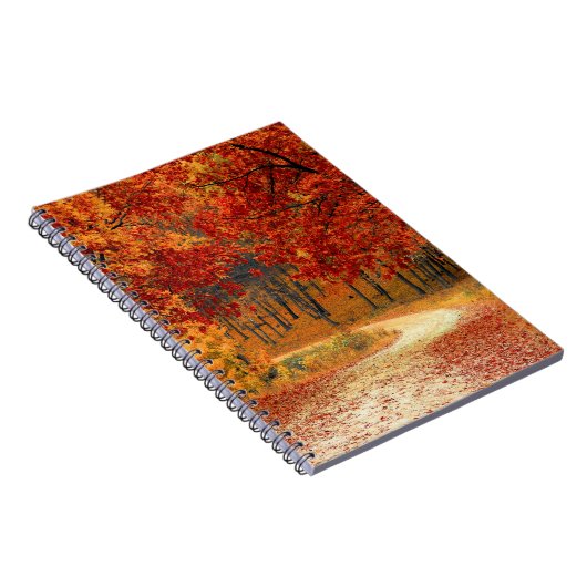 森の秋 ノートブック (右側)