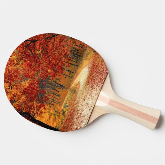 森の秋 卓球ラケット (横)