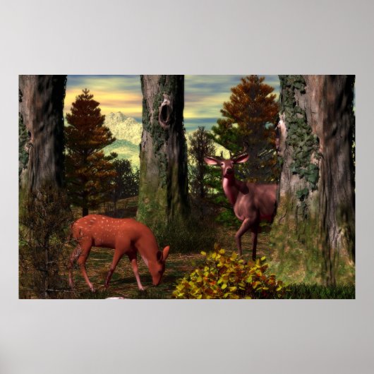 森の穏やかな ポスター (正面)